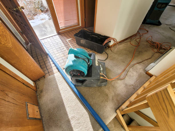 Best Local water damage restoration  in Mountain View, CA