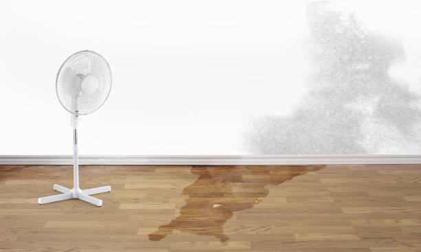 Best 24/7 water damage repair  in Mountain View, CA