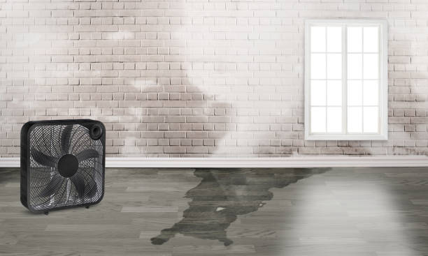 Best Water damage restoration near me  in Mountain View, CA