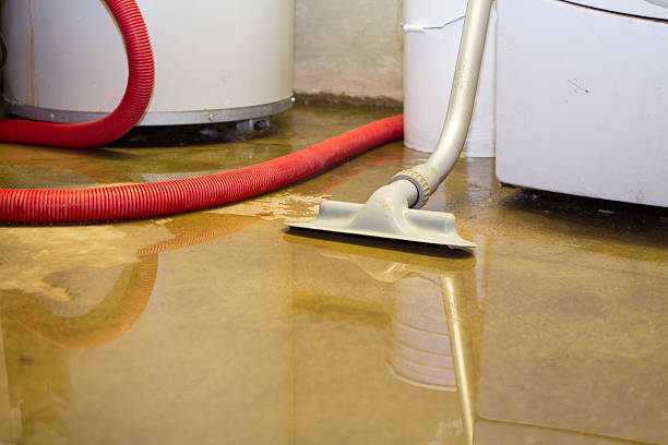 Best Water damage restoration cost  in Mountain View, CA