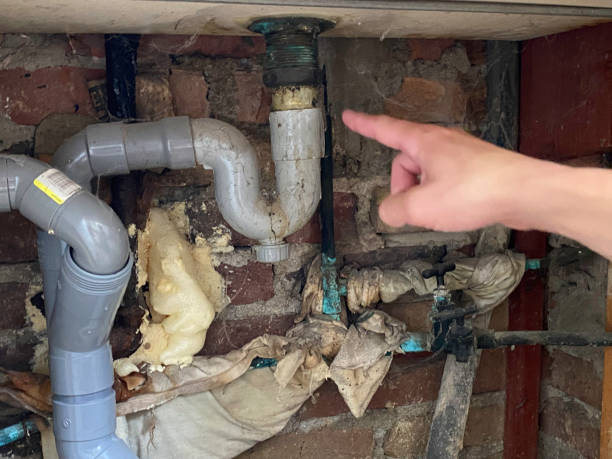 Best Mold removal after water damage  in Mountain View, CA