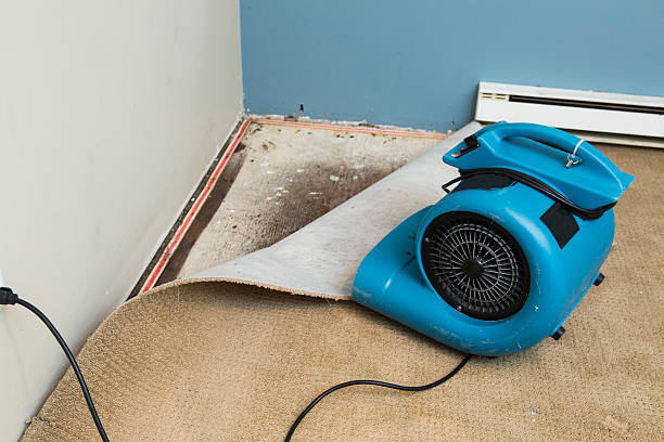  Mountain View, CA Water damage restoration Pros